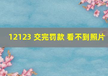 12123 交完罚款 看不到照片